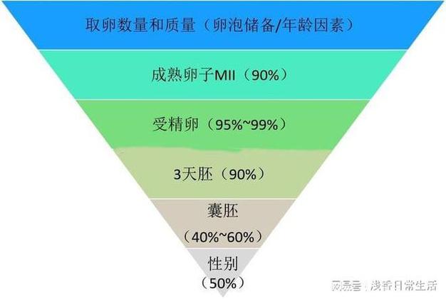 现在国内能试管代怀吗(国内试管代怀孕政策及现状分析)