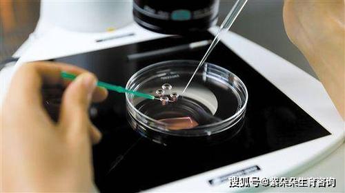 深圳供卵试管公司-深圳供卵试管公司：助您实现梦想