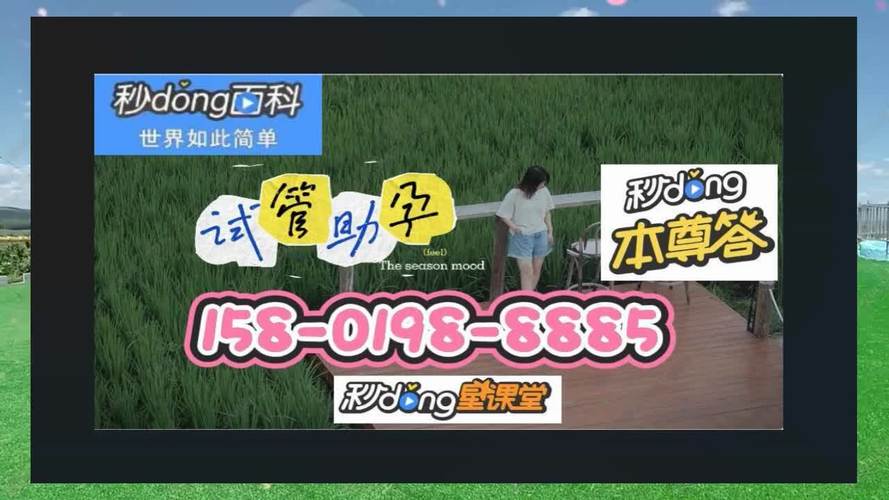 深圳供卵试管电话(深圳供卵试管电话咨询服务)