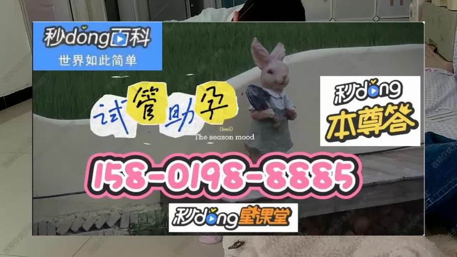 国内最好的试管代怀网站-国内顶尖试管代怀网站推荐