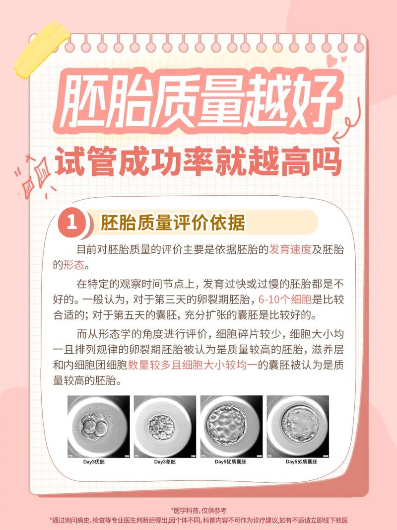 国内试管代怀成功率-国内试管代怀成功率大揭秘