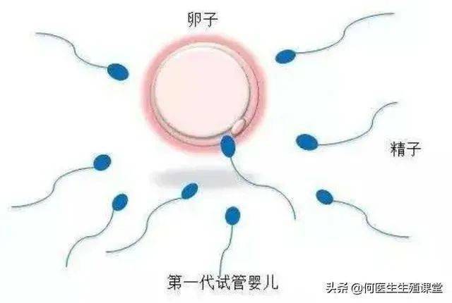 国内试管代怀靠谱吗_国内试管代怀孕可靠吗?