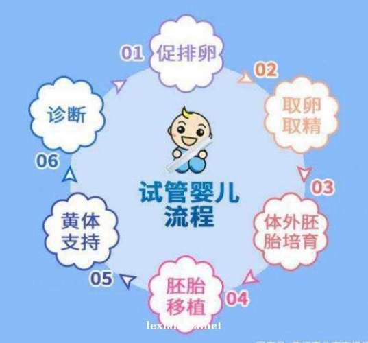 国内试管代怀几种方式(国内试管代怀多种方式大揭秘)