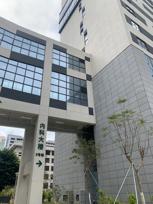 深圳代生孩子医院(深圳代生孩子医院:专业代孕服务,安全可靠)