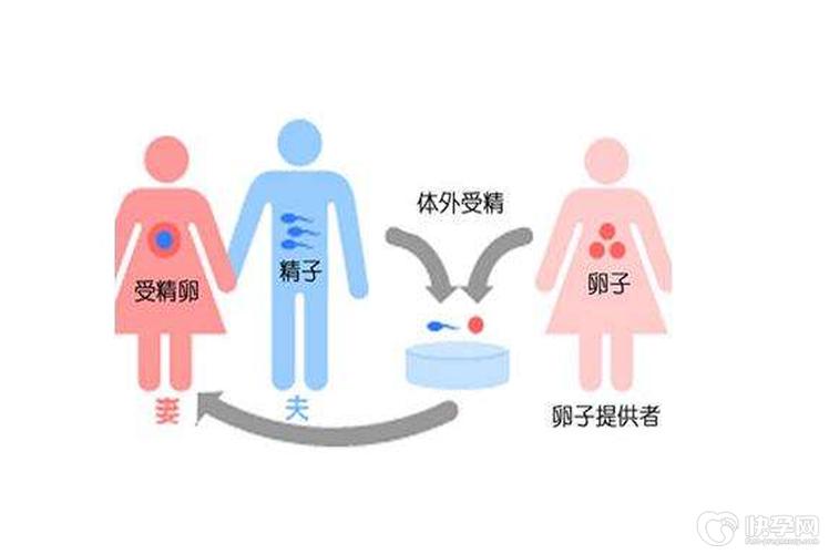 深圳试管供卵流程(深圳试管供卵流程详解)