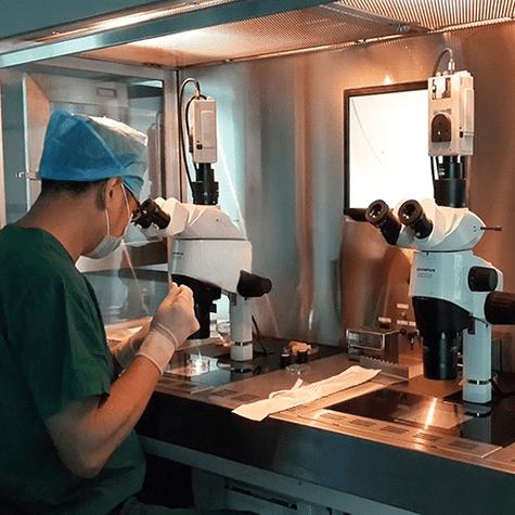 深圳试管代生【深圳试管代生:科技助力生育梦】