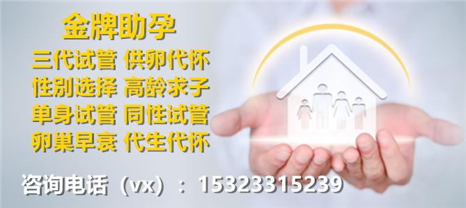 国内靠谱试管代怀公司【国内靠谱试管代怀公司大揭秘】