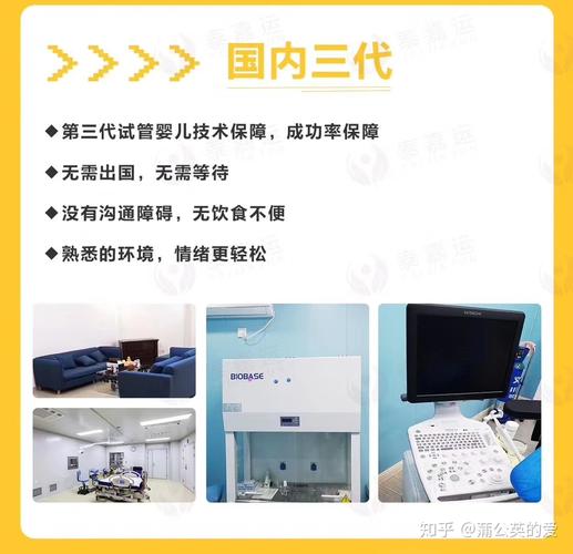 包成功的试管代怀公司(专业试管代怀公司包成功服务)